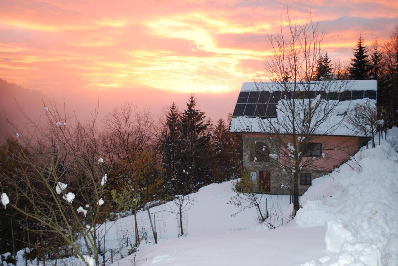 Country House & Spa Mislinja Exteriér fotografie